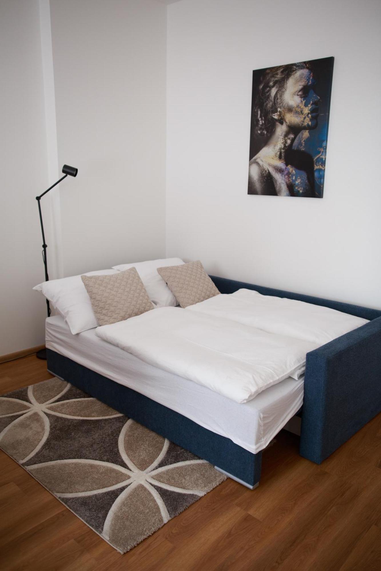 Apartment Dita カルロヴィ・ヴァリ エクステリア 写真