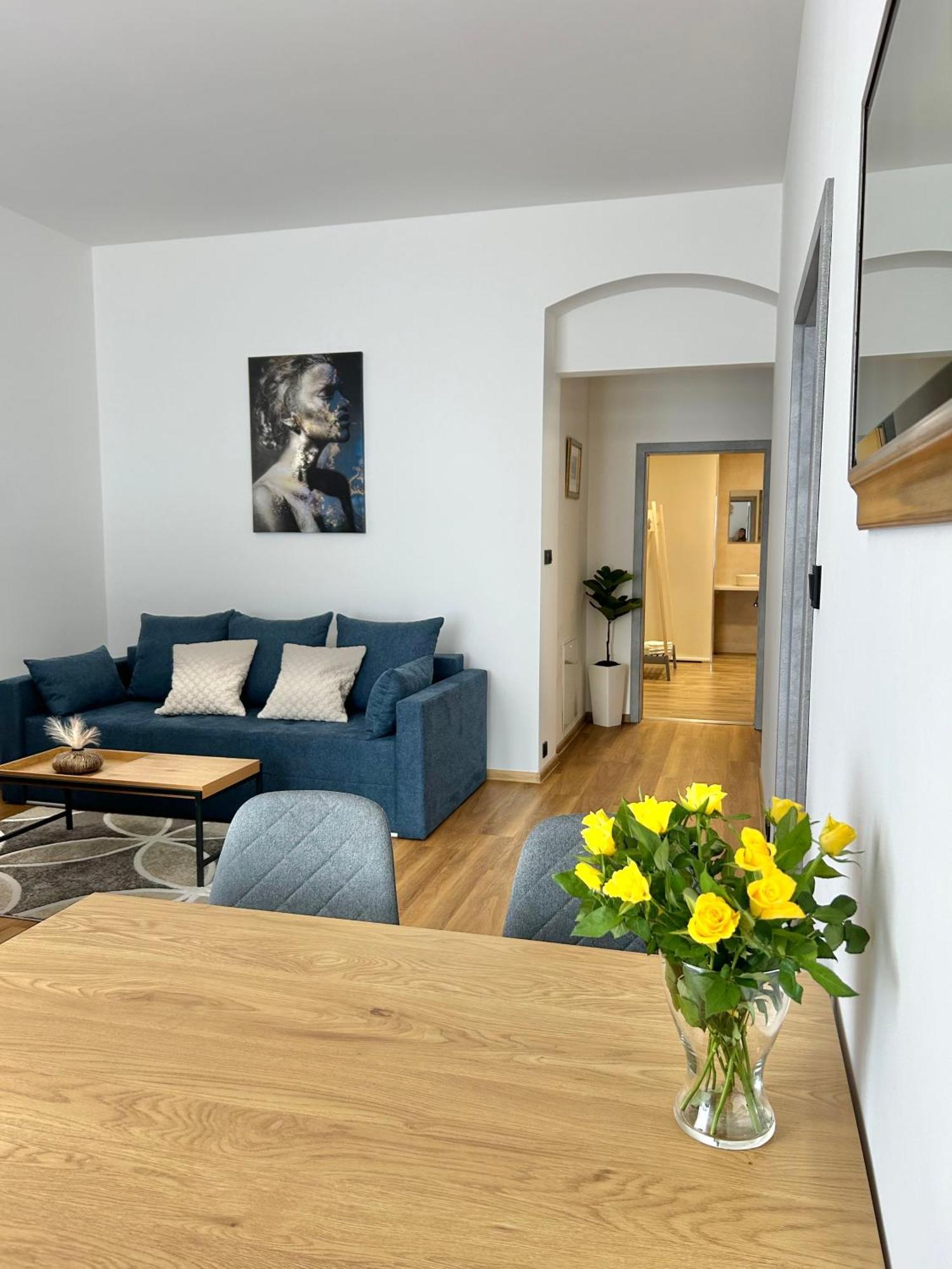 Apartment Dita カルロヴィ・ヴァリ エクステリア 写真