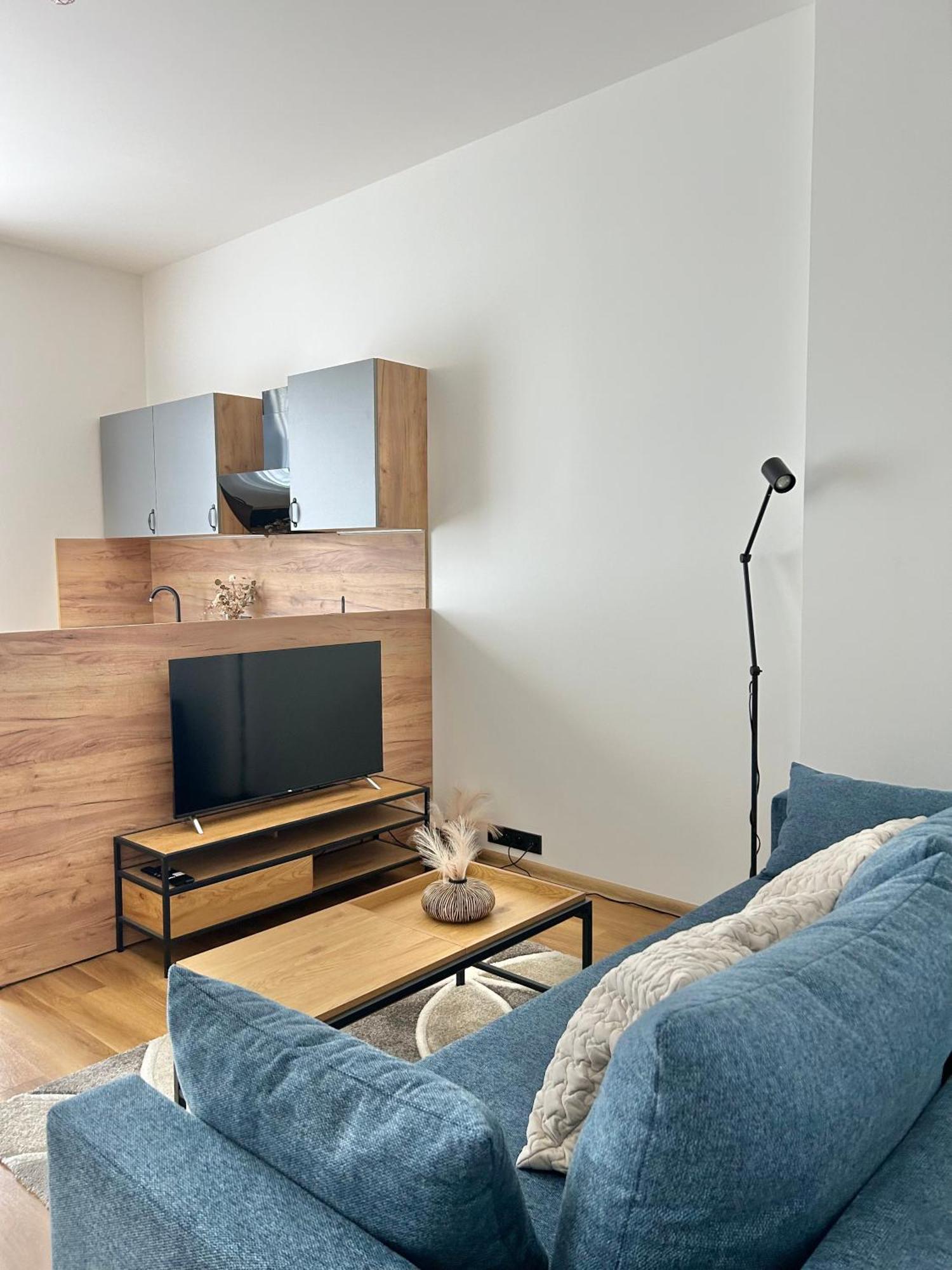 Apartment Dita カルロヴィ・ヴァリ エクステリア 写真