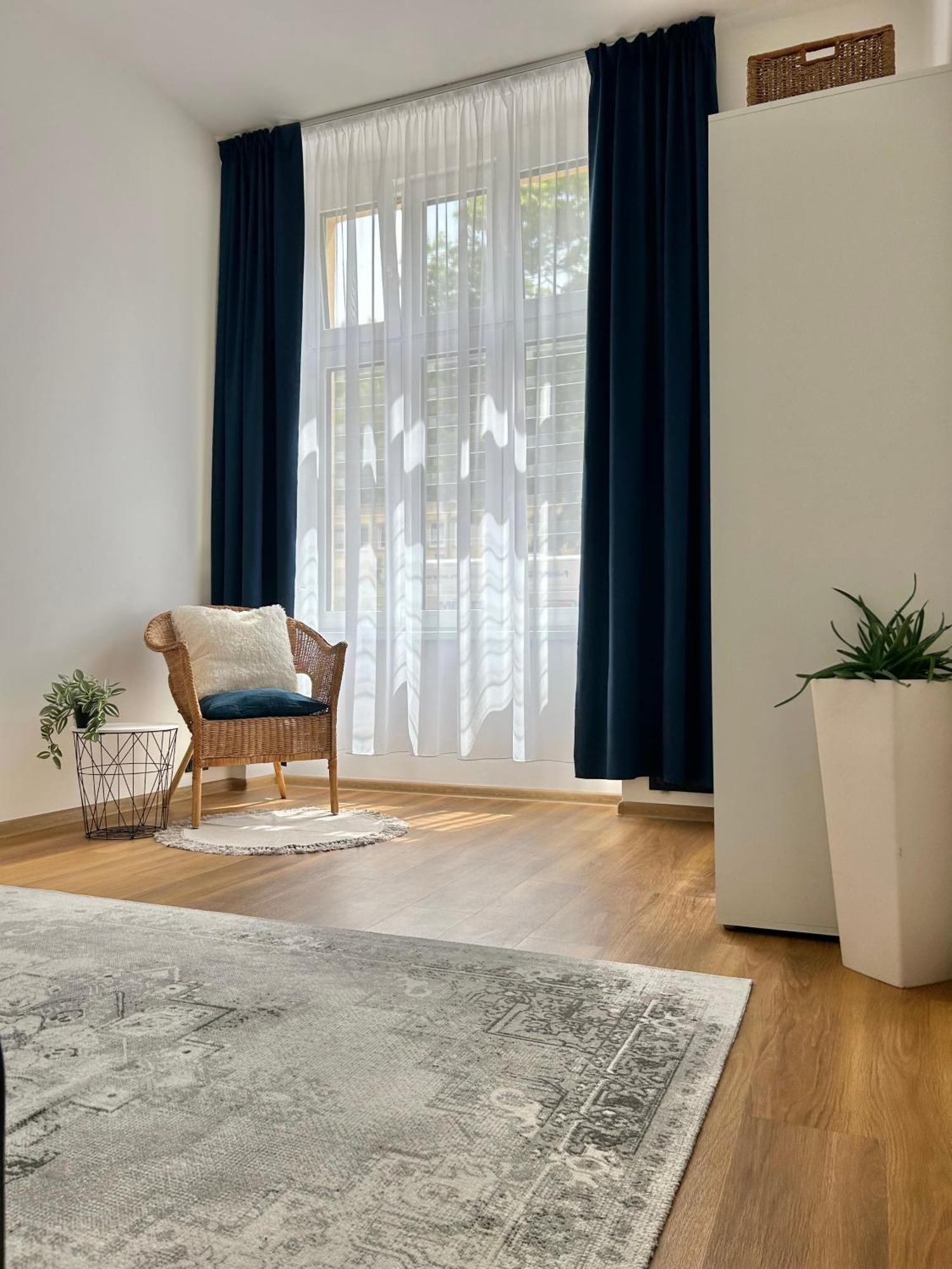 Apartment Dita カルロヴィ・ヴァリ エクステリア 写真