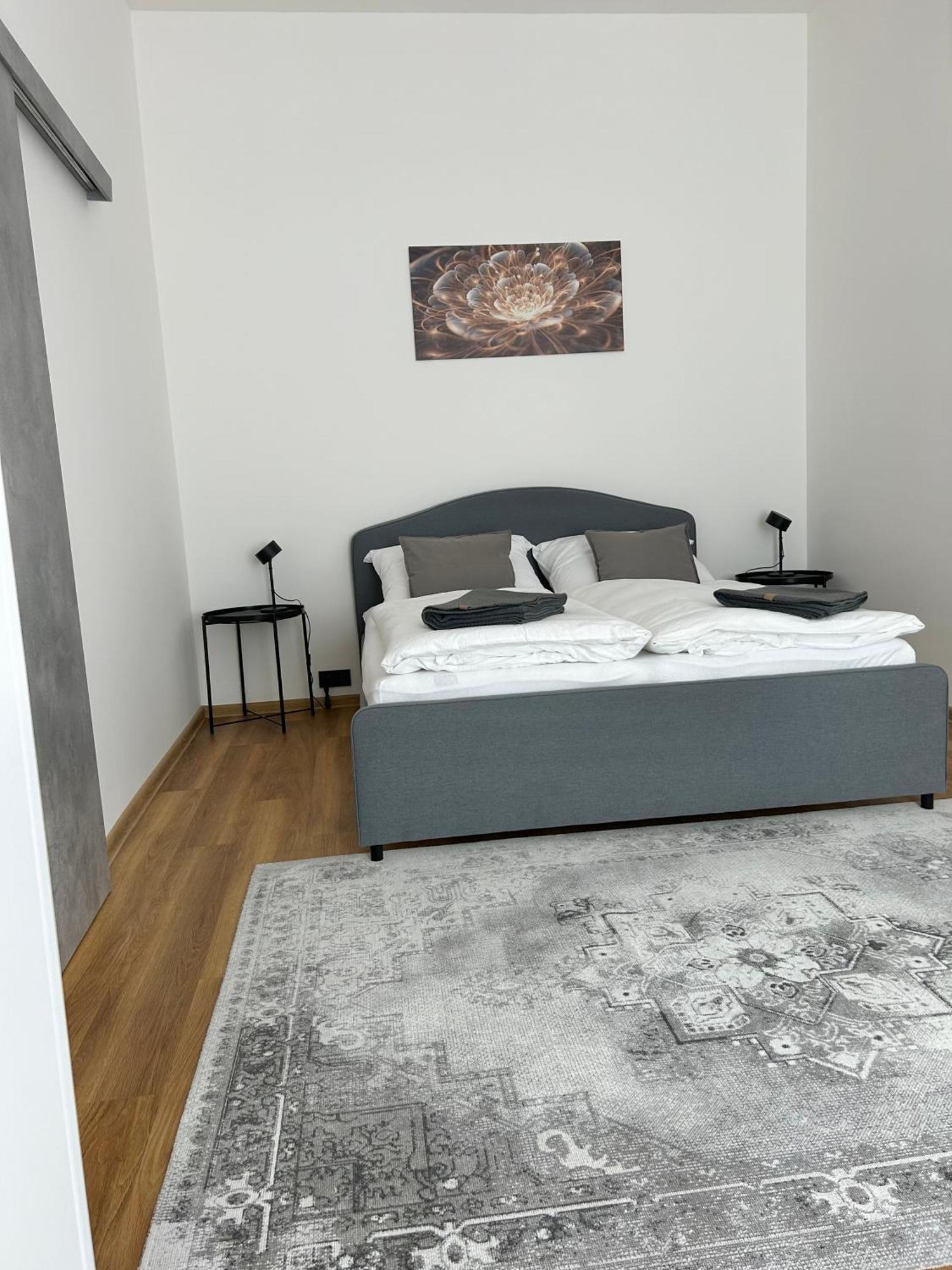 Apartment Dita カルロヴィ・ヴァリ エクステリア 写真