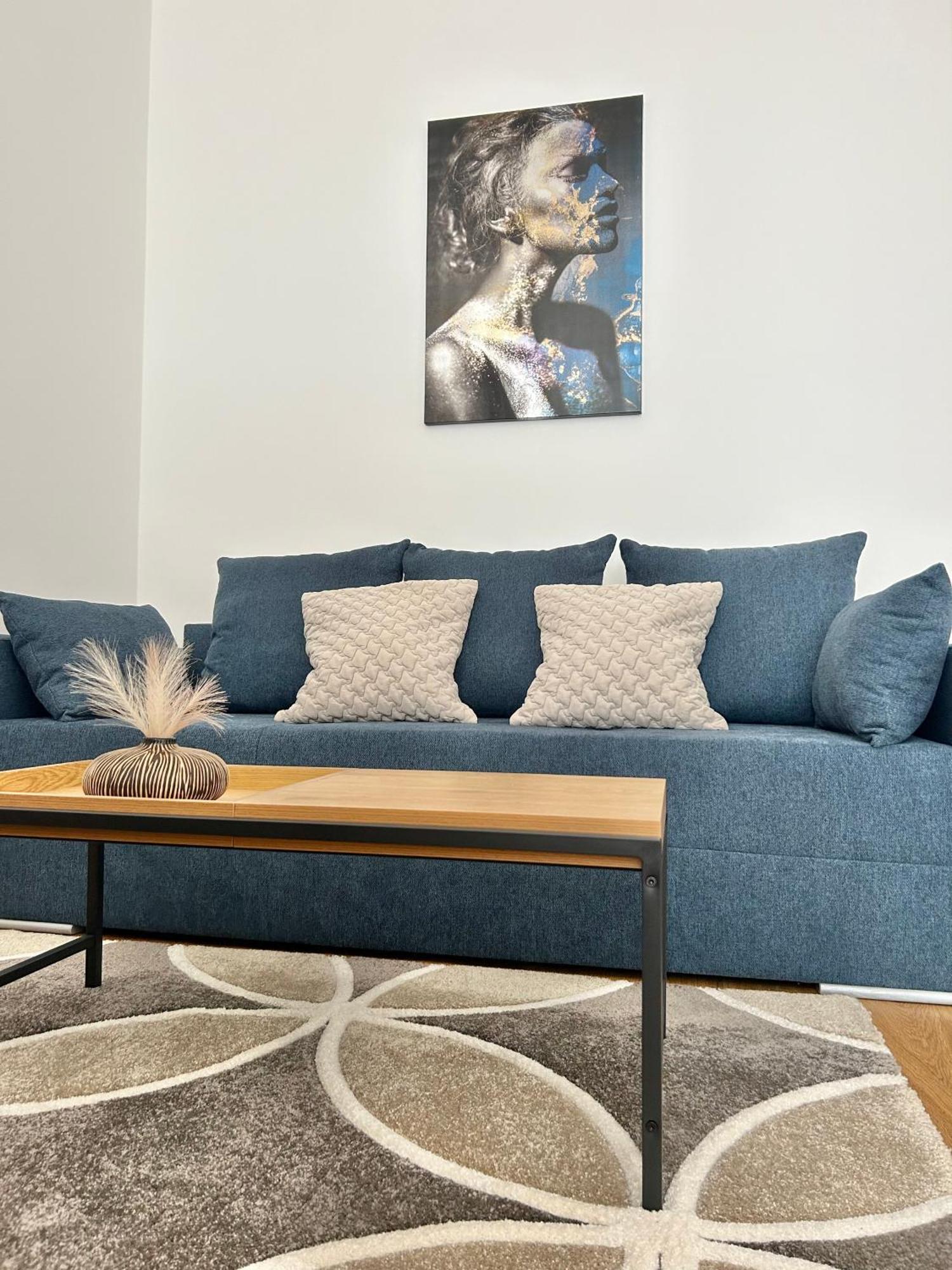 Apartment Dita カルロヴィ・ヴァリ エクステリア 写真