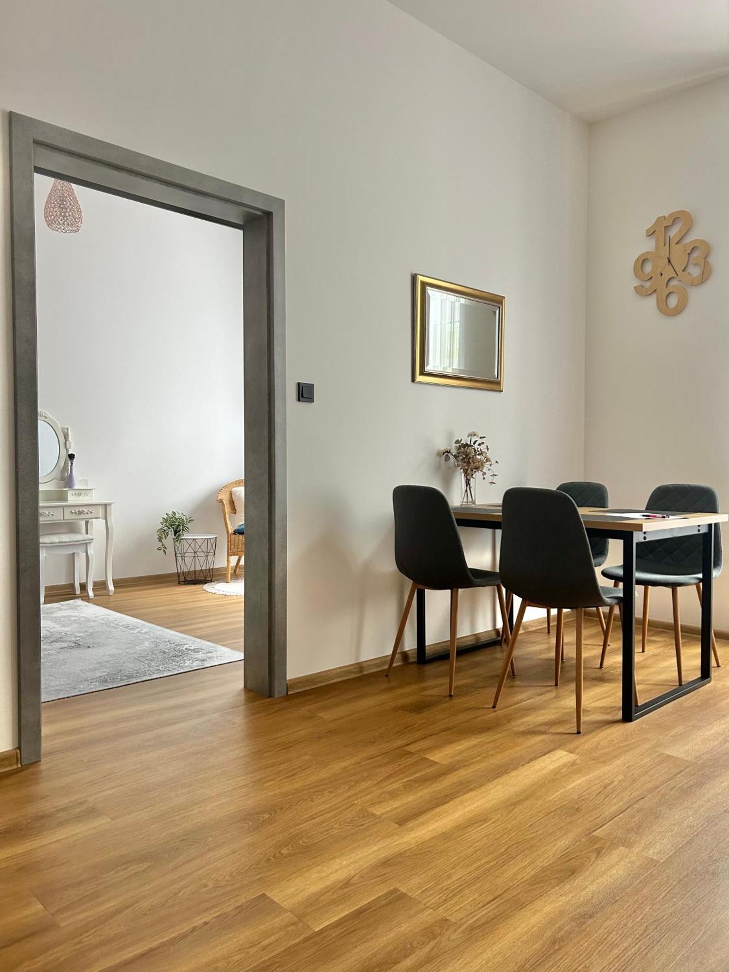 Apartment Dita カルロヴィ・ヴァリ エクステリア 写真